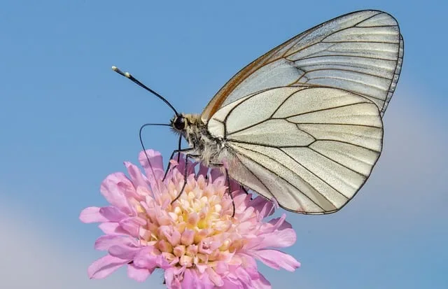 Biologijos pamoka netradicinėje aplinkoje