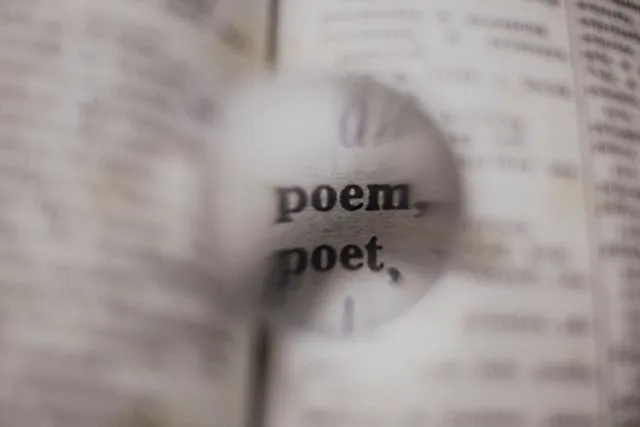 Išbraukiamosios poezijos dirbtuvės (5–12 kl.)