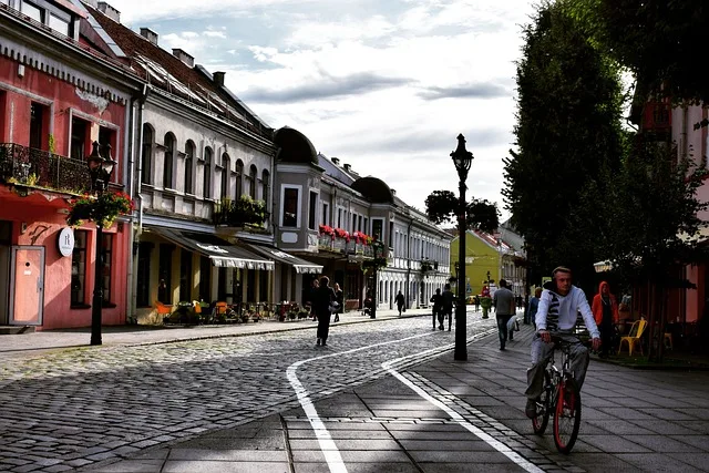 Kaunas geologo akimis