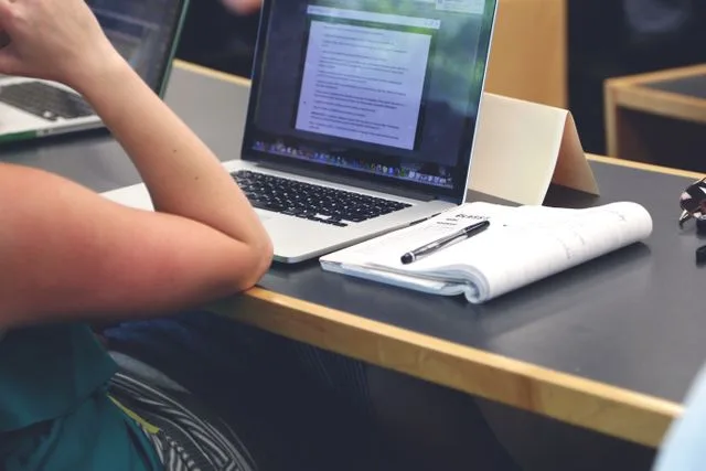 Profesinės motyvacijos stiprinimas – kelias į prasmingą ugdymą (IV modulis)