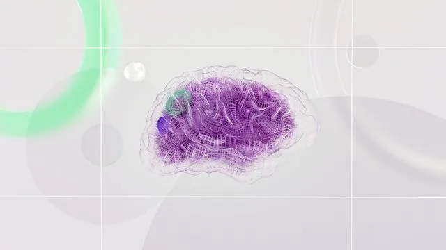 Mokytis protingiau, ne ilgiau: ką apie mokymąsi sako neurodidaktika?